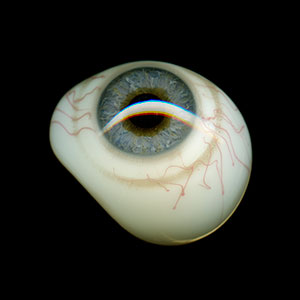 Keep An Eye On, 2015, color digital print, 20 x 20, showing 1 of 50<br><br>I scan a box set of fifty antique prosthetic glass eyes.