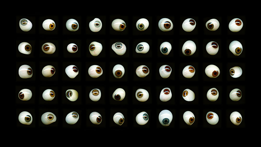 Keep An Eye On, 2015, color digital print, 72.5 x 41<br><br>I scan a box set of fifty antique prosthetic glass eyes.